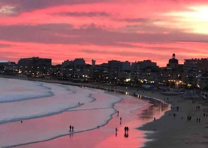 Apartmán Meuble Face Vue Imprenable Sur La Mer, Parking Et Fibre Gratuits